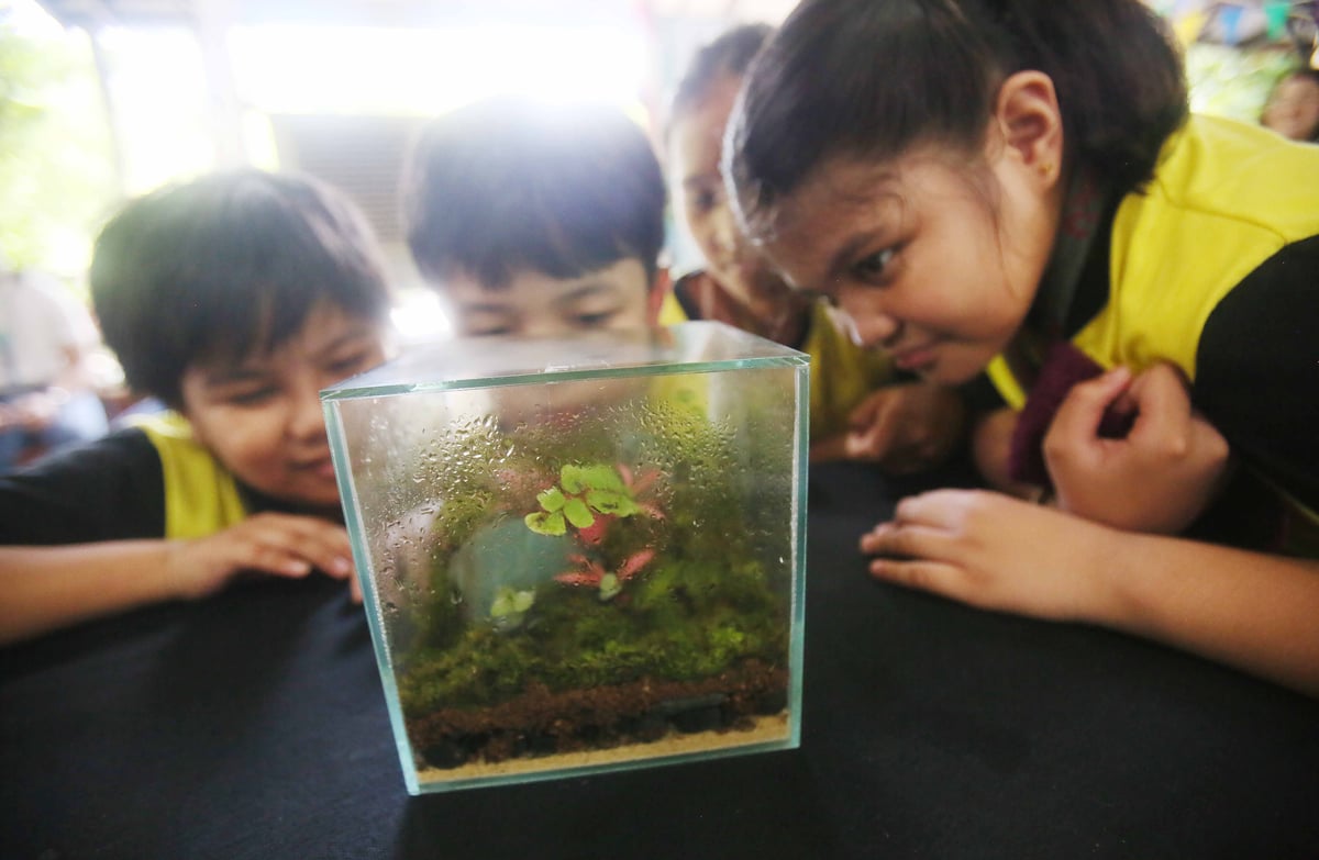 TRIBUNE-ManilaWater-ArborDay